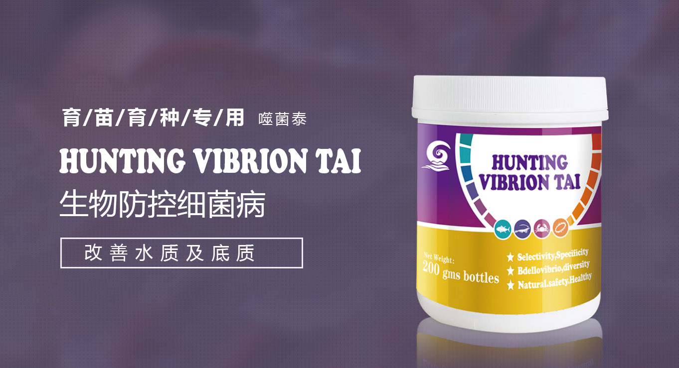 噬菌泰.jpg