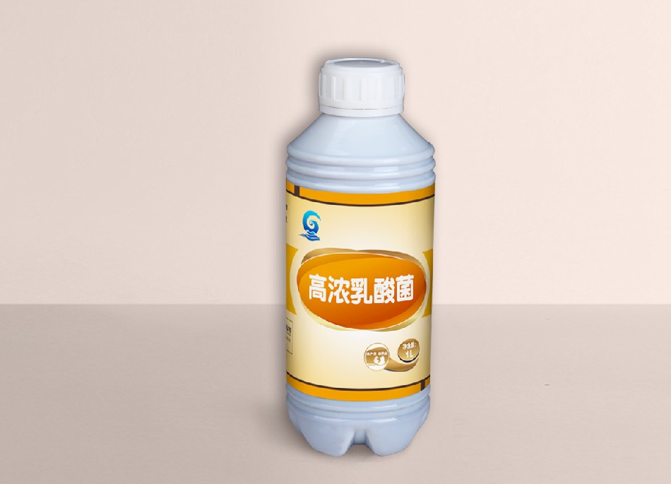 高浓乳酸菌6.jpg