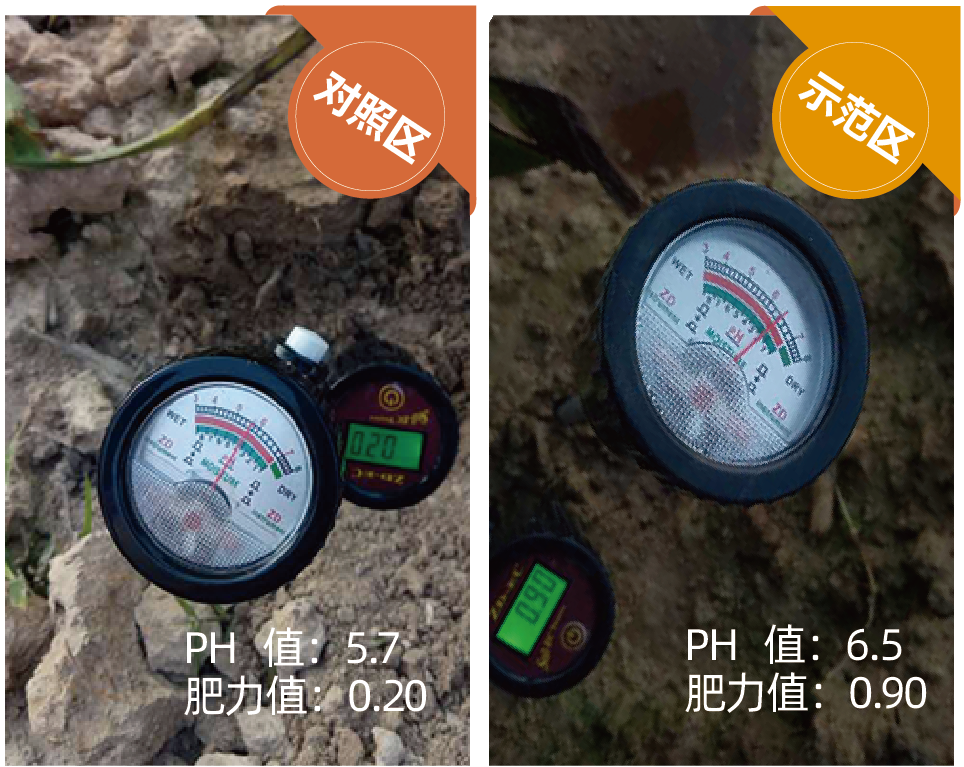 能量堡垒_画板 1-02-02.png